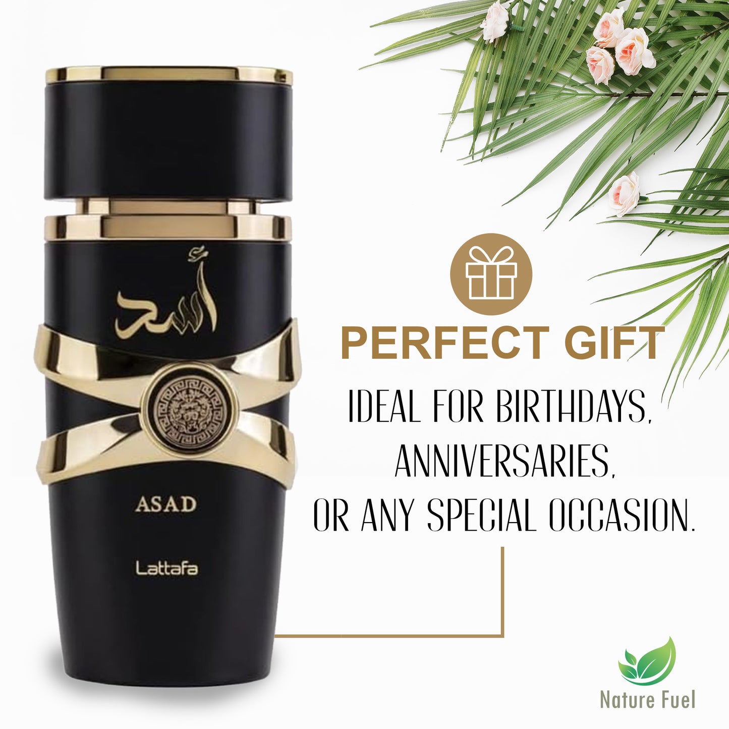 Lattafa Asad | Eau de Parfum for Men 100ml – Bold, Smoky & Woody