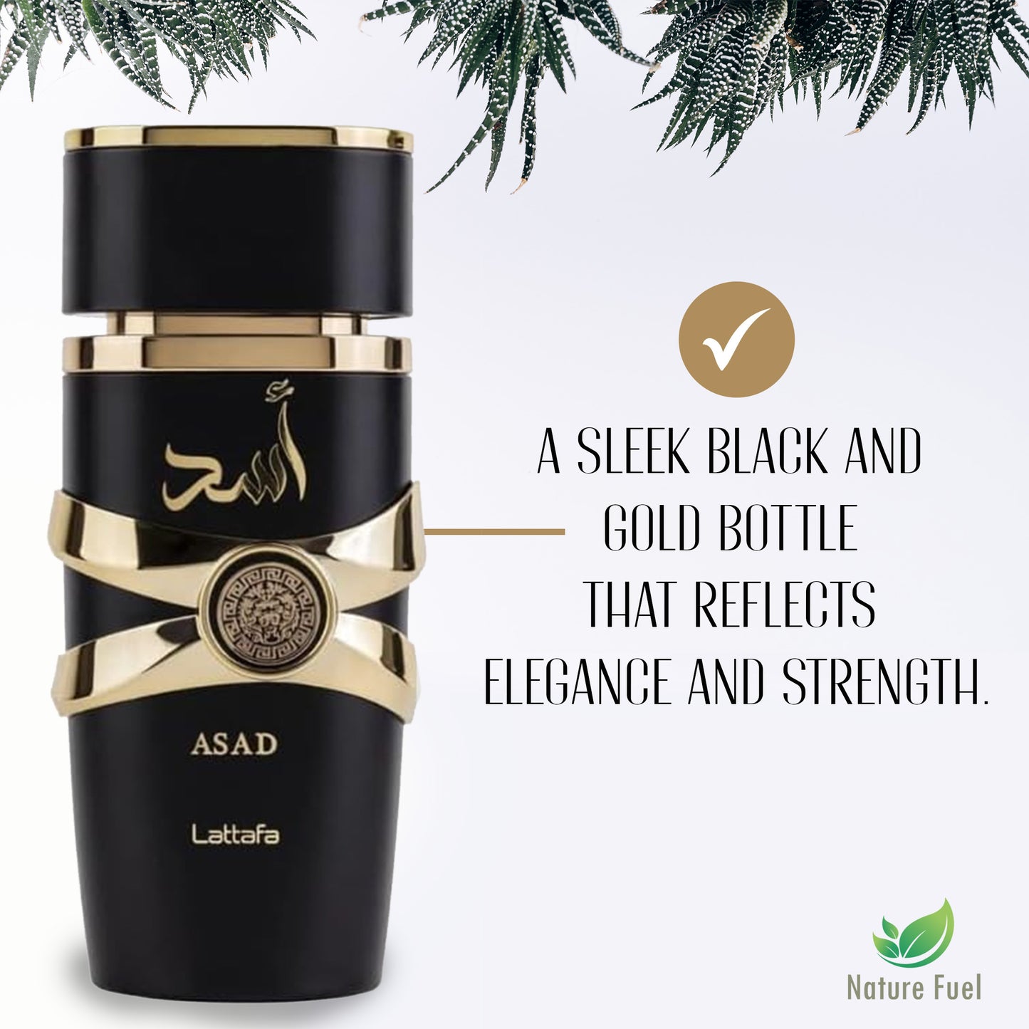 Lattafa Asad | Eau de Parfum for Men 100ml – Bold, Smoky & Woody