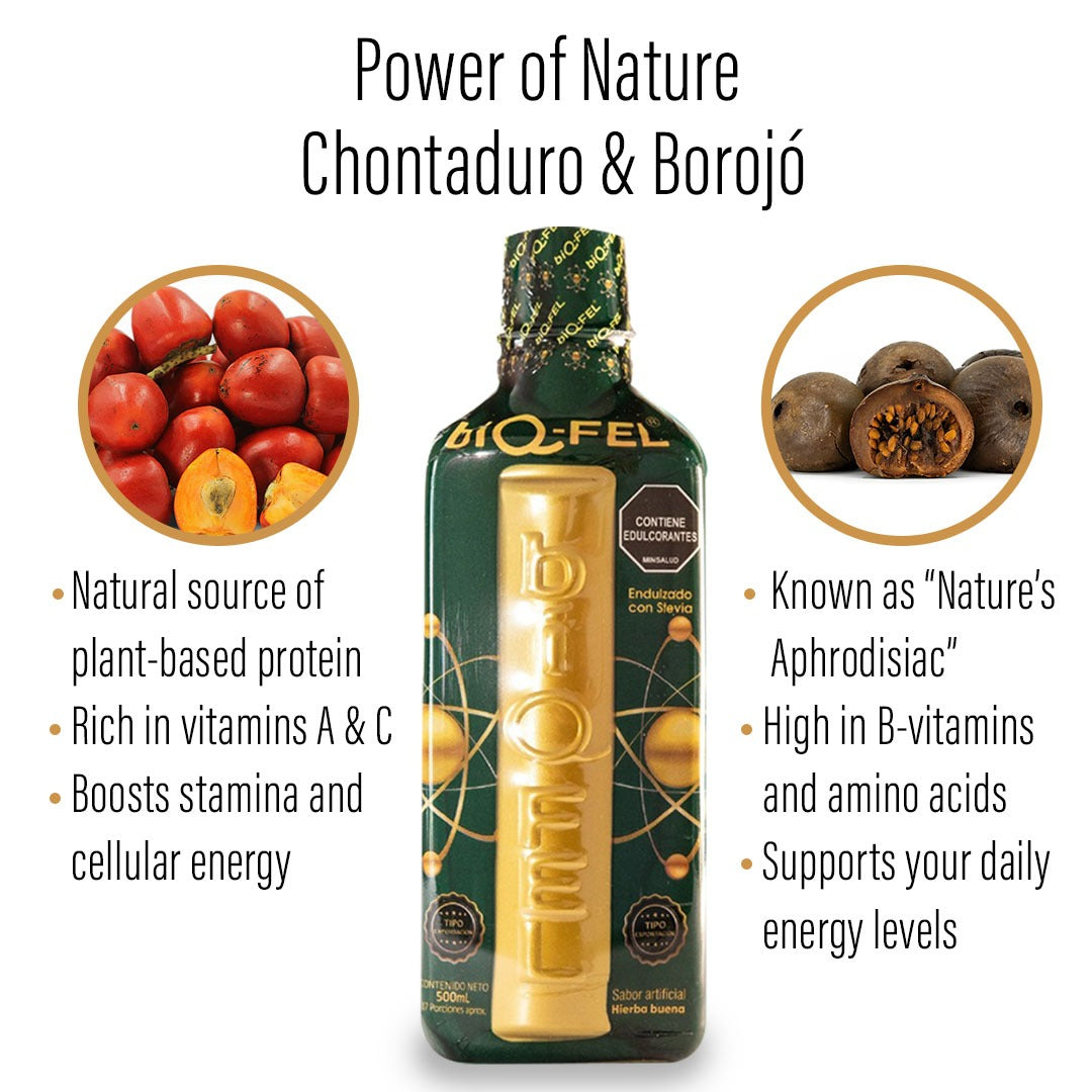 BIQ-FEL Natural Energy Booster  – 1 Box (25 Bottles) – Biqfel naturaly with Chontaduro, Borojó & Guaraná – Daily Liquid Supporter for Energy, Focus & Vitality