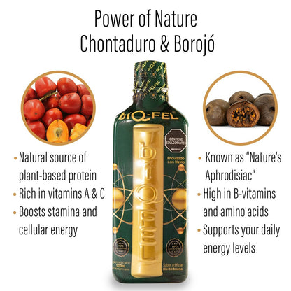 BIQ-FEL Natural Energy Booster  – 1 Box (25 Bottles) – Biqfel naturaly with Chontaduro, Borojó & Guaraná – Daily Liquid Supporter for Energy, Focus & Vitality