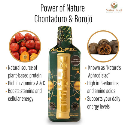 BIQ-FEL Natural Energy Booster – Chontaduro, Borojó & Guaraná – Biqfel Daily Liquid Supporter for Energy, Focus & Vitality